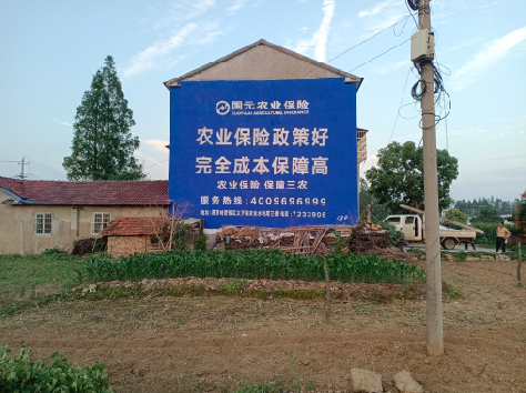 江安墙体广告为何受追捧？